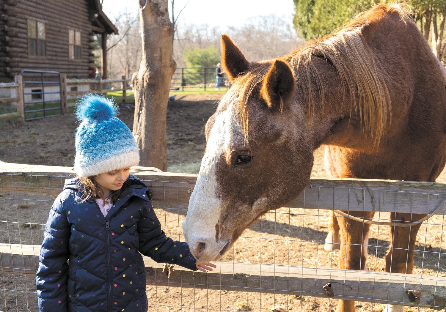 CONNECTING WITH HORSES: Stone Hill Elementary student Isabella Spitznagel spends some quality time with Chase, an Equine-Facilitated Learning horse living at Equi Evolution in Cumberland. Stone Hill students spent the late morning and early afternoon of Nov. 23 on the farm learning about the horses through sensory activities.